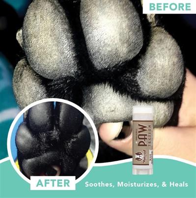 Natural Dog Company Dog Pawtection Stick 2oz.