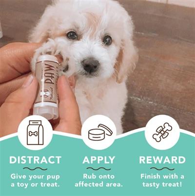 Natural Dog Company Dog Pawtection Stick 2oz.