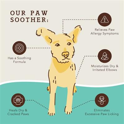 Natural Dog Company Dog Paw Soother Stick 2oz.