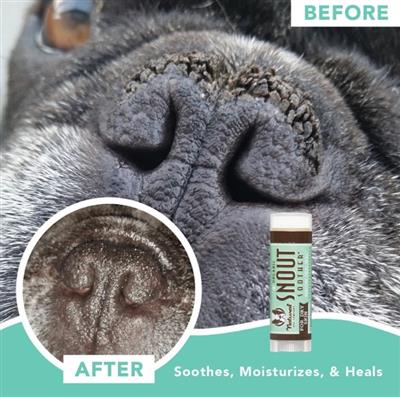 Natural Dog Company Dog Snout Soother Stick 2oz.
