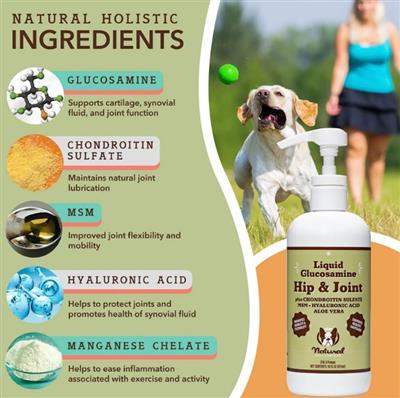 Natural Dog Company Dog Hip & Joint / Glucosamine Oil 16oz.