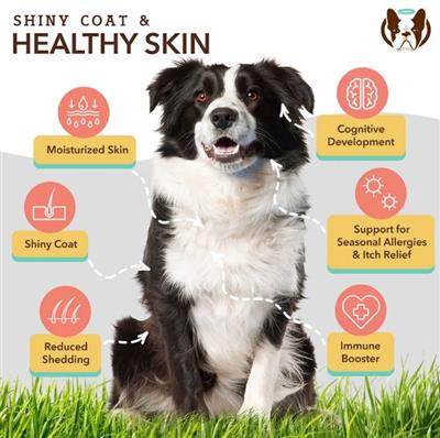 Natural Dog Company Dog Skin & Coat Oil 16oz.