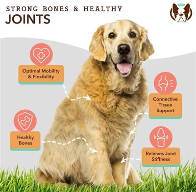 Natural Dog Company Dog Hip & Joint Supplement Chews - 90 Count