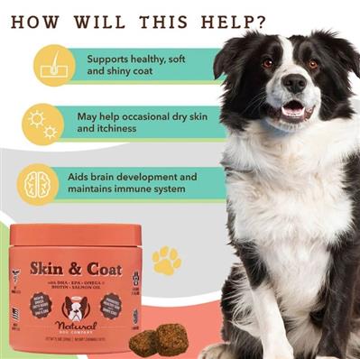 Natural Dog Company Dog Skin & Coat Supplement Chews - 90 Count