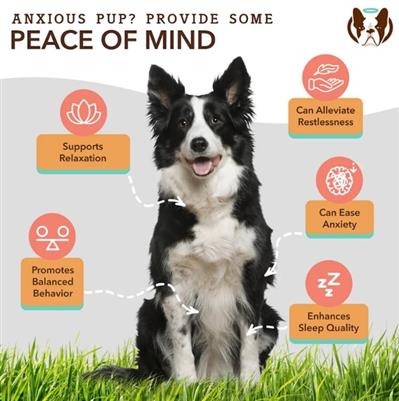 Natural Dog Company Dog Calming Supplement Chews - 90 Count