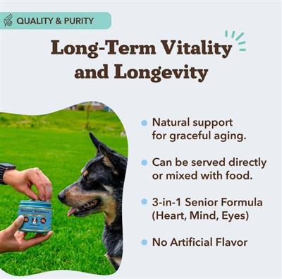 Natural Dog Company Dog Senior Support Chews - 90 Count