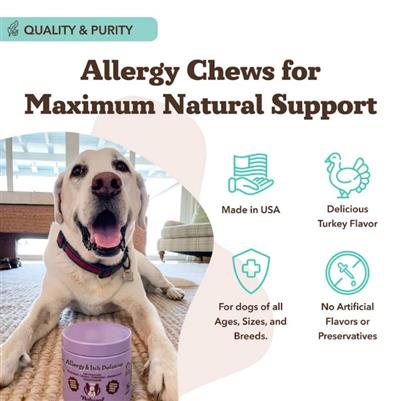 Natural Dog Company Dog Allergy & Itch Supplement Chews - 90 Count