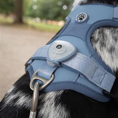 Soundshield Ultrasonic Flea & Tick Tag Countertop Display – 12 Piece Assortment