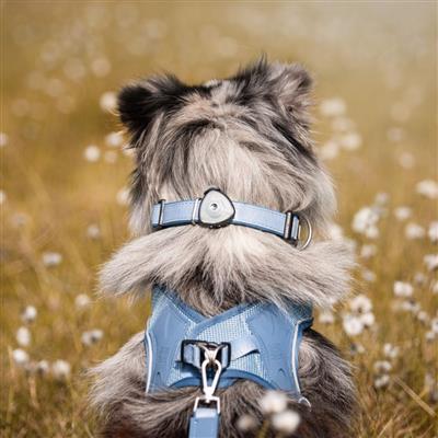 Soundshield Classic Ultrasonic Flea & Tick Tag for Dogs & Cats