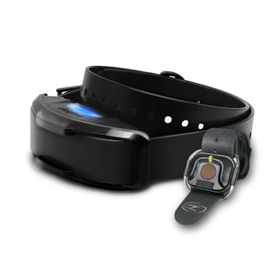 1900X ADDITIONAL RECEIVER BLACK EDITION