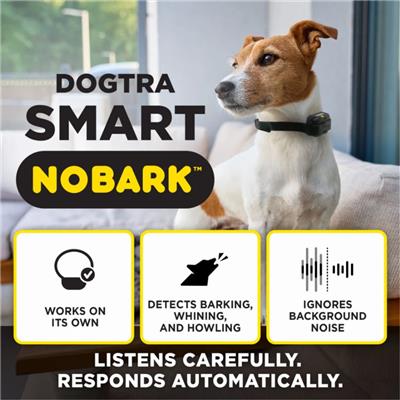 DOGTRA SMART NOBARK