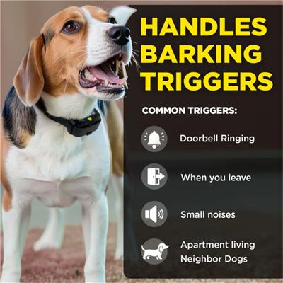 DOGTRA SMART NOBARK