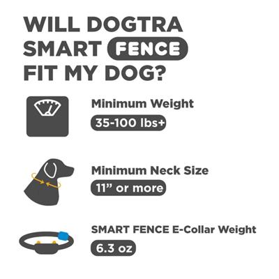 DOGTRA SMART FENCE ADDITIONAL RECEIVER