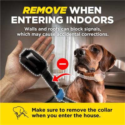 DOGTRA SMART FENCE ADDITIONAL RECEIVER