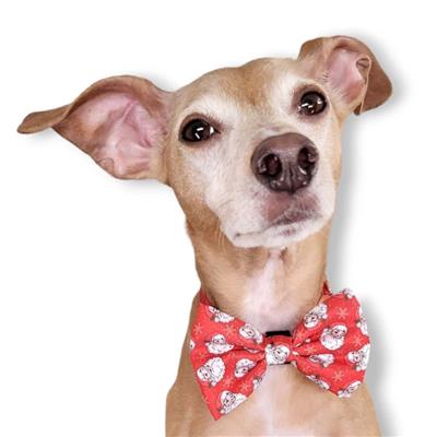 RED SANTA - DAPPER DEXTER DOG BOW TIE