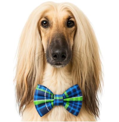 BLUE GREEN SILVER PLAID - DAPPER DEXTER DOG BOW TIE
