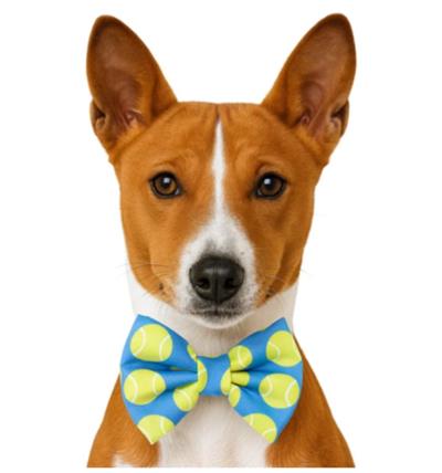 TENNIS BALLS - DAPPER DEXTER DOG BOW TIE