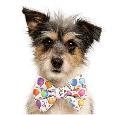 BALLOONS- DAPPER DEXTER DOG BOW TIE