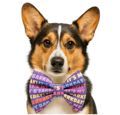 IT'S MY BARKDAY - DAPPER DEXTER DOG BOW TIE