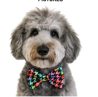 RAINBOW HOUNDSTOOTH - DAPPER DEXTER DOG BOW TIE
