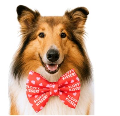 SLOPPY KISSER - DAPPER DEXTER DOG BOW TIE