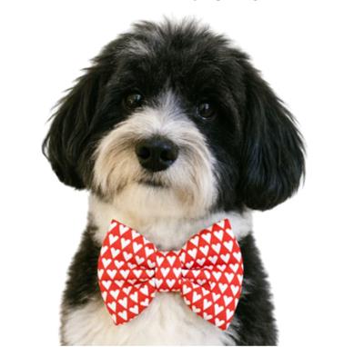 RED WITH HEARTS - DAPPER DEXTER DOG BOW TIE