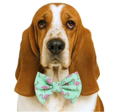 FLAMINGS (MINT) - DAPPER DEXTER DOG BOW TIE