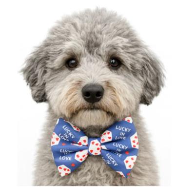 LUCKY IN LOVE - DAPPER DEXTER DOG BOW TIE