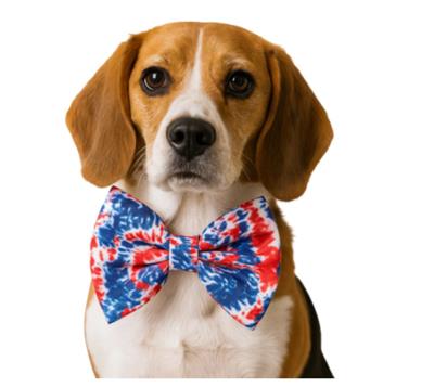 RWB TIE DYE - DAPPER DEXTER DOG BOW TIE