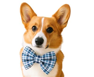 NAVY DAPPER PLAID - DAPPER DEXTER DOG BOW TIE