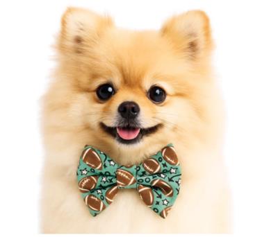 FOOTBALL - DAPPER DEXTER DOG BOW TIE