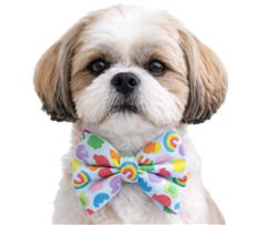 MELLOW CEREAL ICONS - DAPPER DEXTER DOG BOW TIE