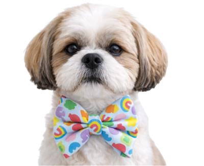 MELLOW CEREAL ICONS - DAPPER DEXTER DOG BOW TIE