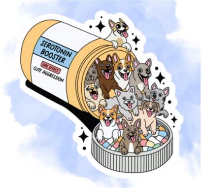 SEROTONIN BOOSTER STICKER