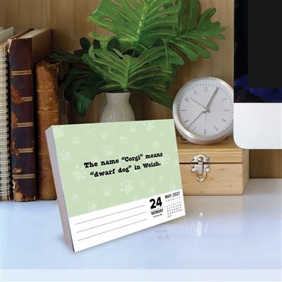 All About Dogs 2027 5.4" x 6.2" Box Calendar