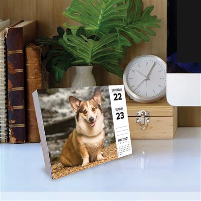 Corgis 2027 5.4" x 6.2" Box Calendar