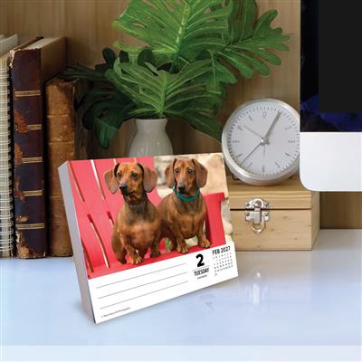 Dachshunds 2027 5.4" x 6.2" Box Calendar
