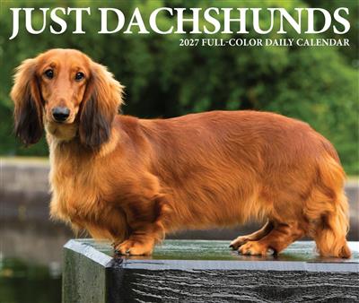 Dachshunds 2027 5.4" x 6.2" Box Calendar