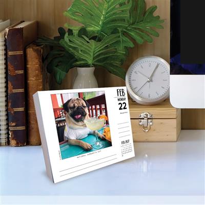 Doug the Pug 2027 5.4" x 6.2" Box Calendar-USA