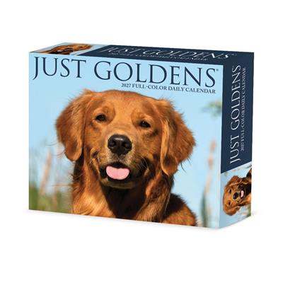 Goldens 2027 5.4" x 6.2" Box Calendar