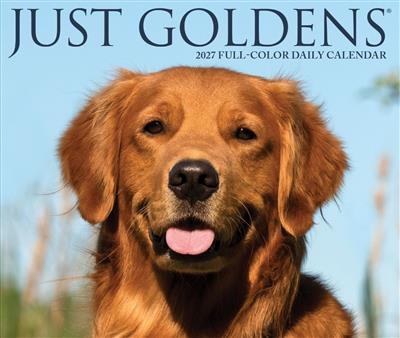 Goldens 2027 5.4" x 6.2" Box Calendar