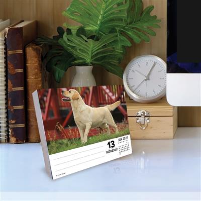 Just Labs 2027 5.4" x 6.2" Box Calendar
