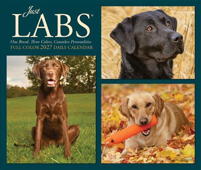 Just Labs 2027 5.4" x 6.2" Box Calendar