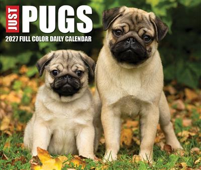 Just Pugs 2027 5.4" x 6.2" Box Calendar