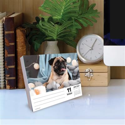 Just Pugs 2027 5.4" x 6.2" Box Calendar