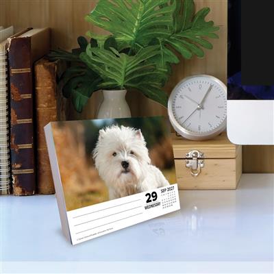 Westies 2027 5.4" x 6.2" Box Calendar