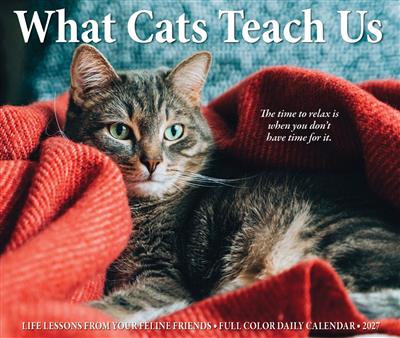 What Cats Teach Us 2027 5.4" x 6.2" Box Calendar