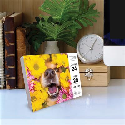 What Dogs Teach Us 2027 5.4" x 6.2" Box Calendar