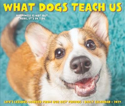 What Dogs Teach Us 2027 5.4" x 6.2" Box Calendar
