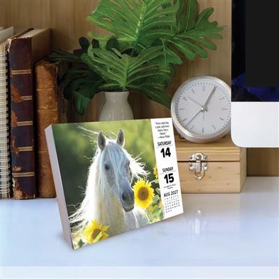 What Horses Teach Us 2027 5.4" x 6.2" Box Calendar